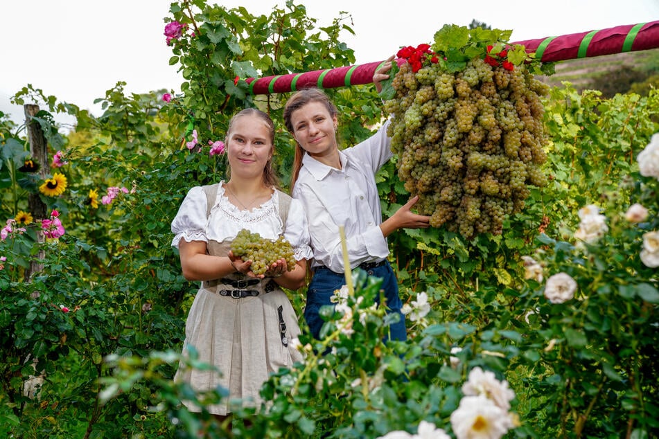 Lorena Lemke (17) und Nele Keller (20) zeigen stolz ihre Kalebstraube.