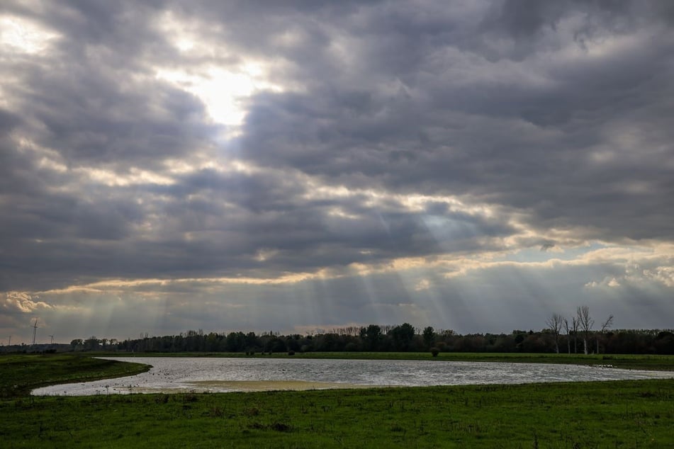 Trotz viele Wolken haben die Menschen in NRW in den kommenden Tagen größtenteils nicht mit Regen zu rechnen. (Symbolbild)