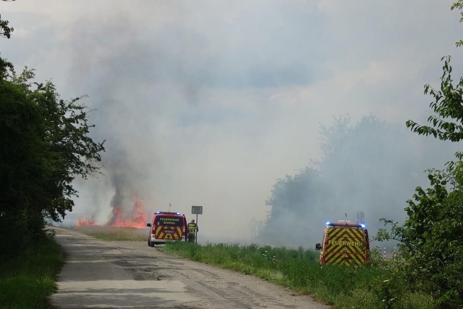 Über dem Feld stiegen riesige Rauchschwaden auf.