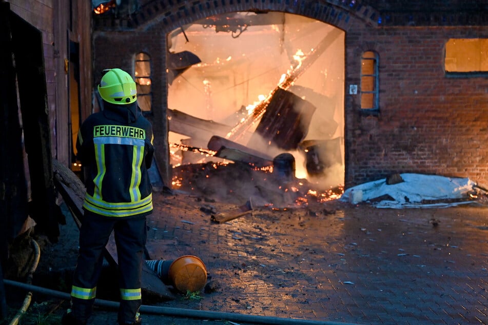 15 Tiere konnten aus den Flammen gerettet werden. Zwei Kälber und zwei Katzenbabies kamen bei dem Feuer ums Leben.