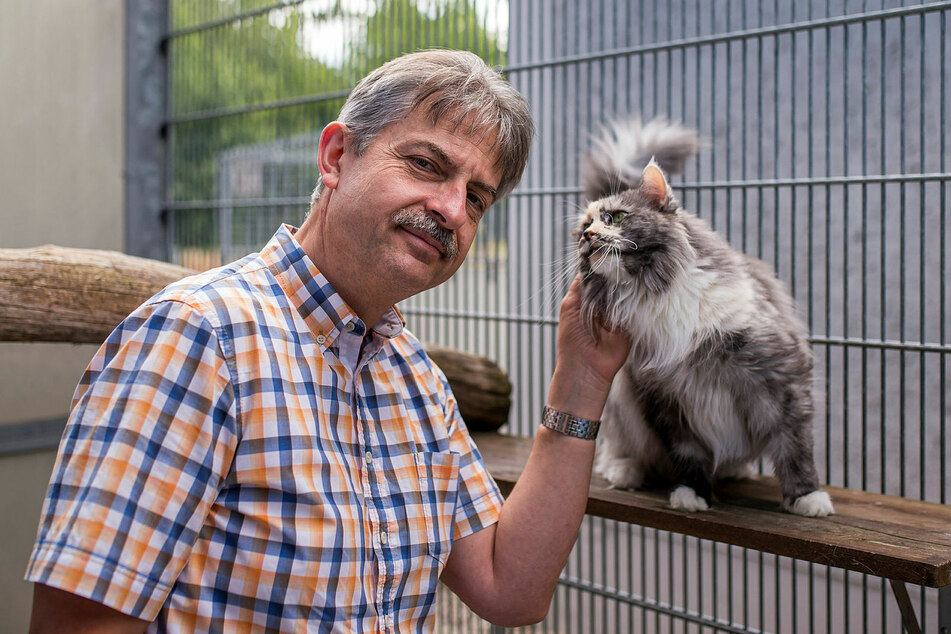 Der Leipziger Tierheimchef Michael Sperlich (55) hat momentan nur wenige Tiere zu betreuen.