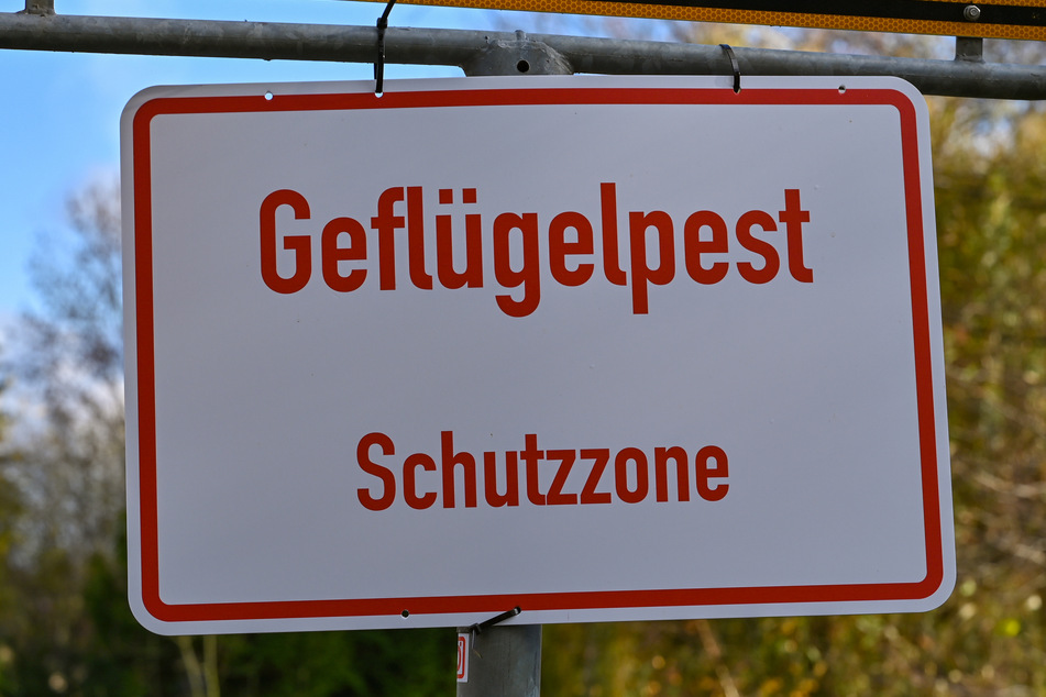 Der Landkreis Nordsachsen will sich zukünftig mehr vor Geflügelpest schützen.