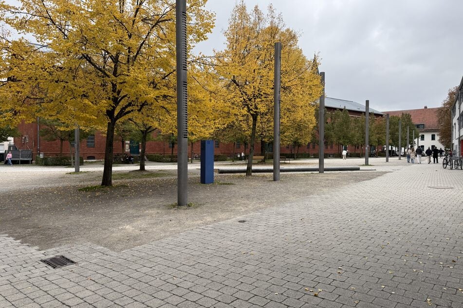 Der Angriff ereignete sich in der Adolf-Kolping-Straße in Ingolstadt.