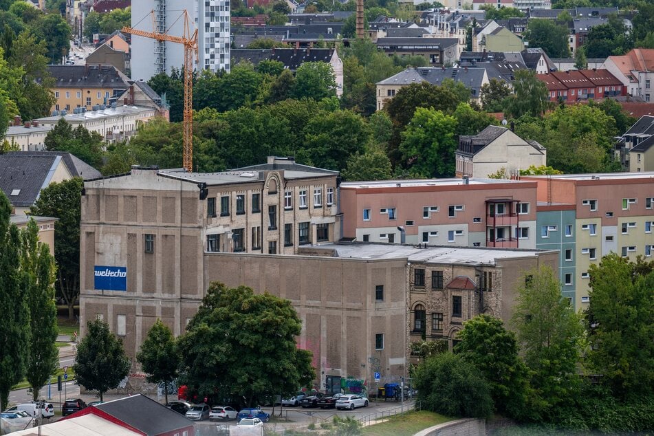 Das "Betonblühen"-Festival findet unter anderem im Weltecho statt.