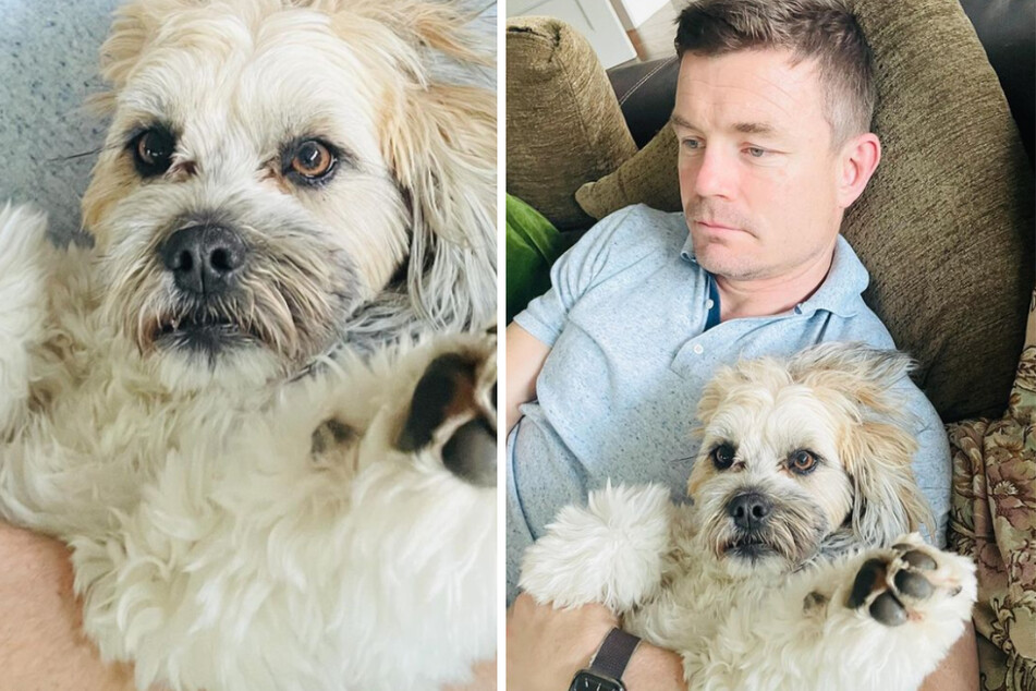 Brian O'Driscoll and Phoebe (r.) should probably cuddle with each other more often, so he doesn't forget what she looks like.