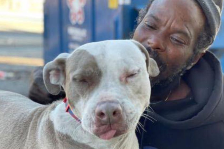 Heroic homeless man rescues dogs and cats from burning shelter