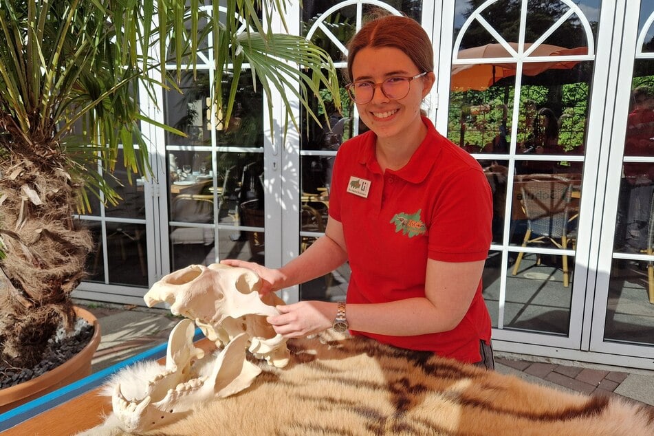 Biologie-Studentin Kira Nadine Buchmann ist eine der rund 40 pädagogischen Lehrkräfte der Zooschule. Mithilfe von Materialien wie dem Schädel eines Kamtschatka-Bären werden Kindern und Erwachsenen Hintergrundwissen vermittelt.