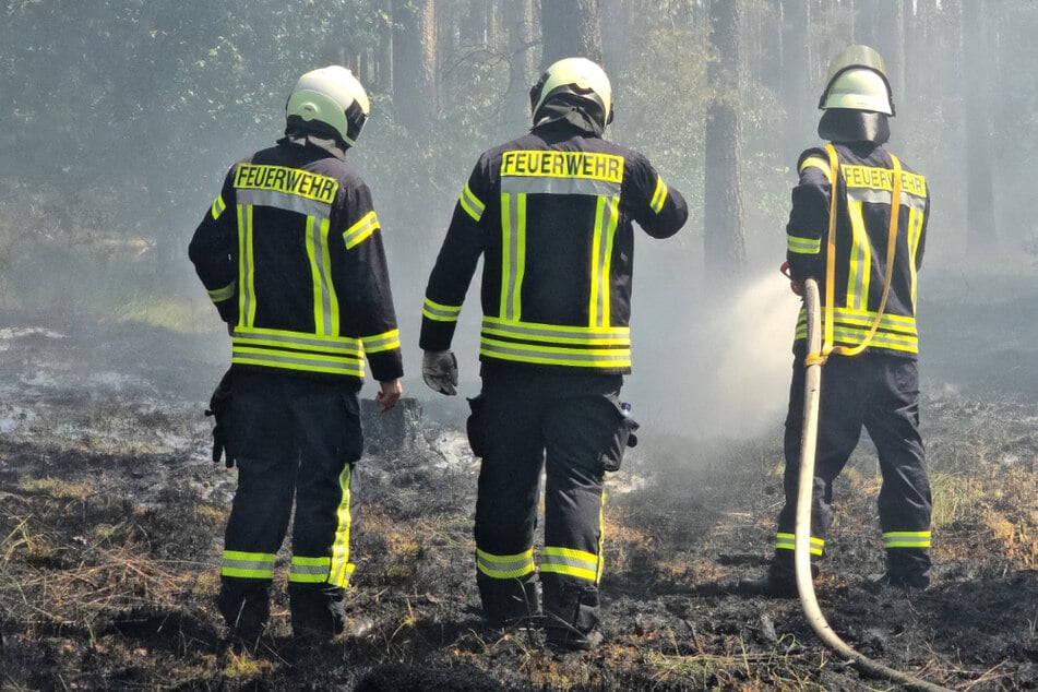 In vielen Teilen Sachsen-Anhalts darf aufgrund der erhöhten Waldbrandgefahr kein Lagerfeuer im Forst gemacht werden. (Symbolbild)