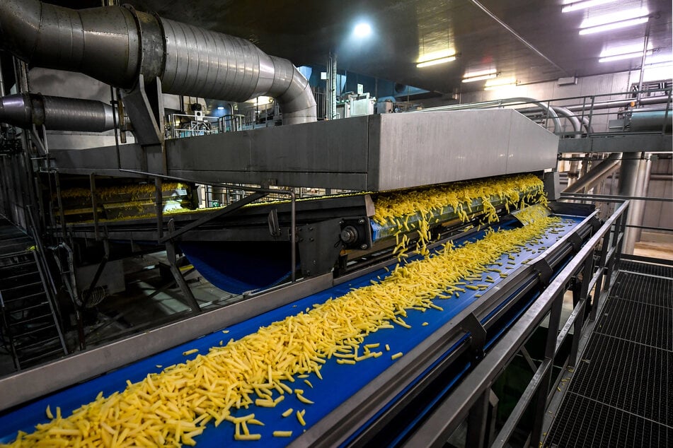 Kartoffeln werden in einer Fabrik zu Pommes frites verarbeitet. Fritten sind in Belgien so etwas wie in Deutschland Sauerkraut, Brat- und Currywurst und Döner zusammen: ein identitätsstiftendes Nationalgericht.