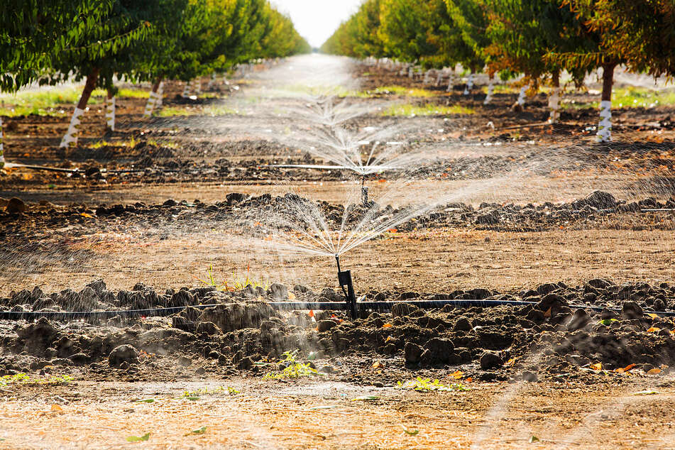 California's crops are dependent on irrigation due to years-long draught.