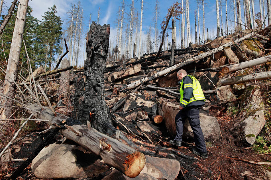 Der heftige Waldbrand am Königsberg konnte am Mittwoch gelöscht werden.