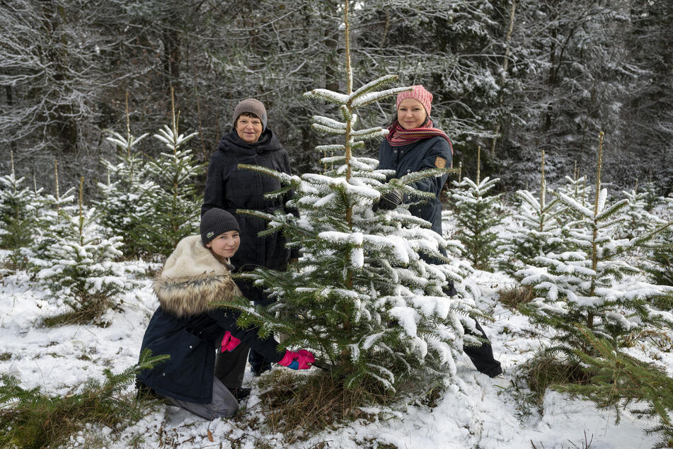 Kerstin Nitz (43, r.) ergatterte zusammen mit ihrer Mutter (M.) und Tochter Smilla einen Weihnachtsbaum.