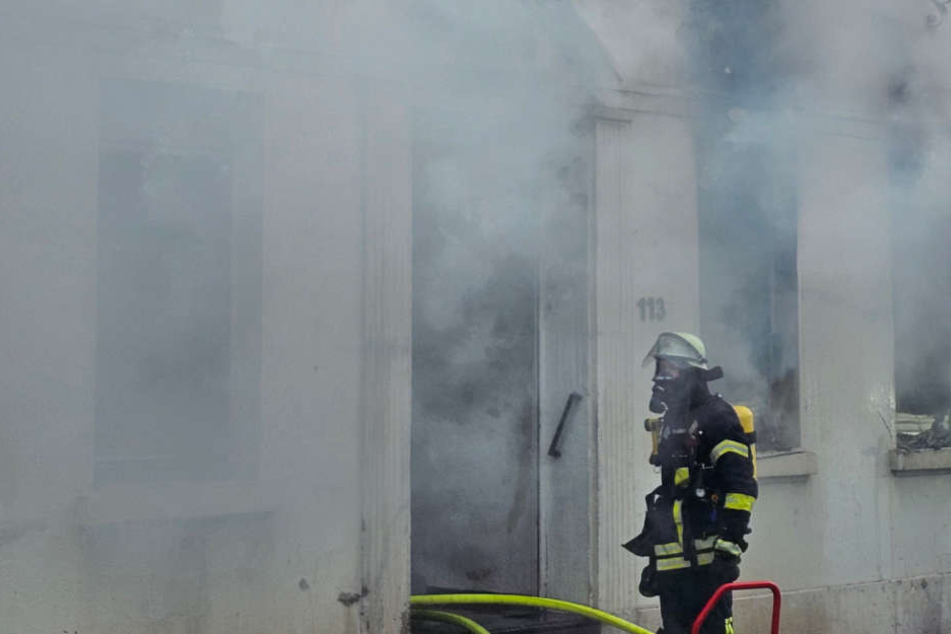 Feuer wütet in Wohnung: Bewohner können sich retten, doch von einem Vierbeiner fehlt jede Spur