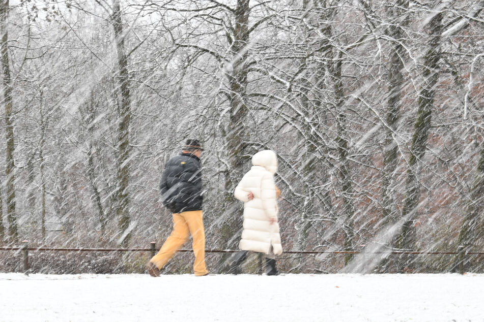 Mit Sturm und Schnee startet Sachsen-Anhalt in den Dezember. (Symbolbild)