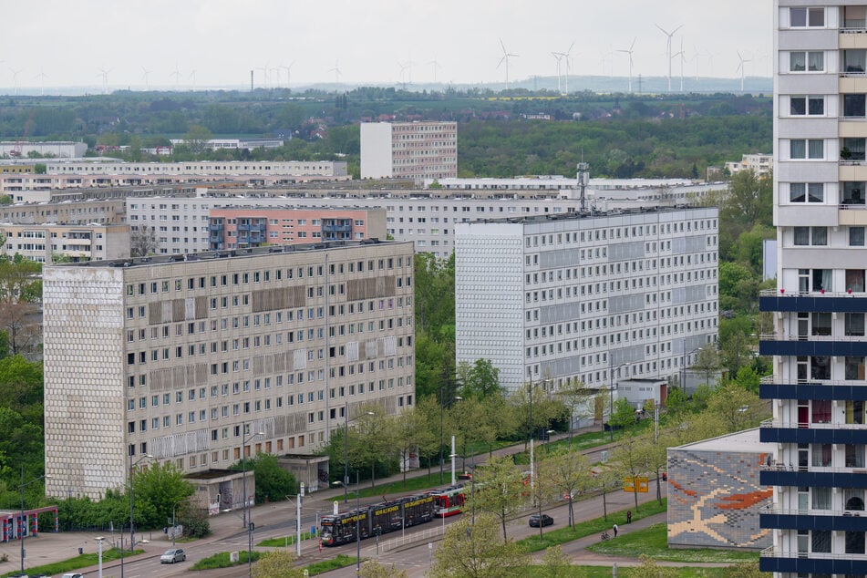 Im Bereich An der Magistrale in Halle kam es am Samstagnachmittag zum Gerangel. (Archivbild)