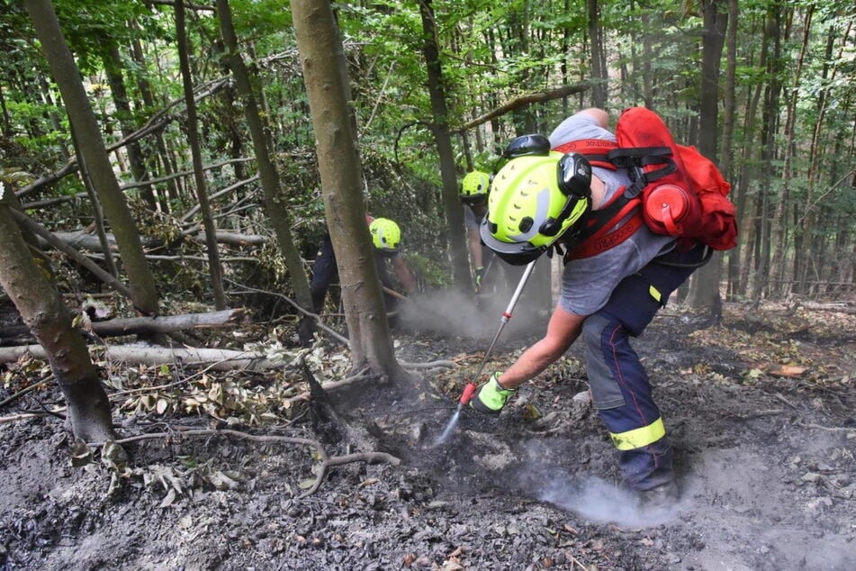 Inferno im Nationalpark: Jetzt jagt Tschechien die Brandstifter