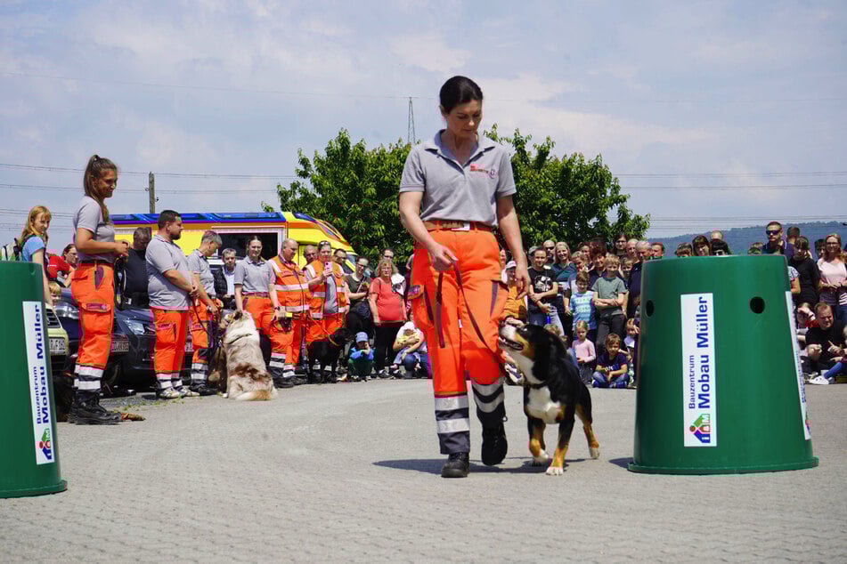 Lebensretter auf vier Pfoten: Eine Hundestaffel stellt auf dem Heidenauer Stadtfest ihre Fähigkeiten unter Beweis.
