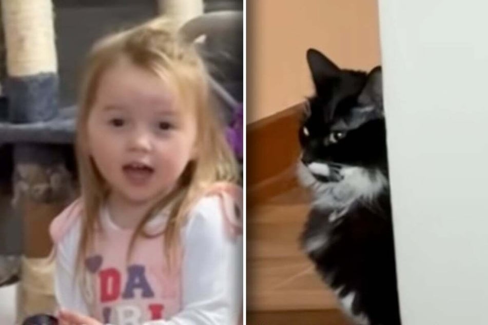 This little girl loves Marcus the cat more than anything, but does he feel the same way about her?