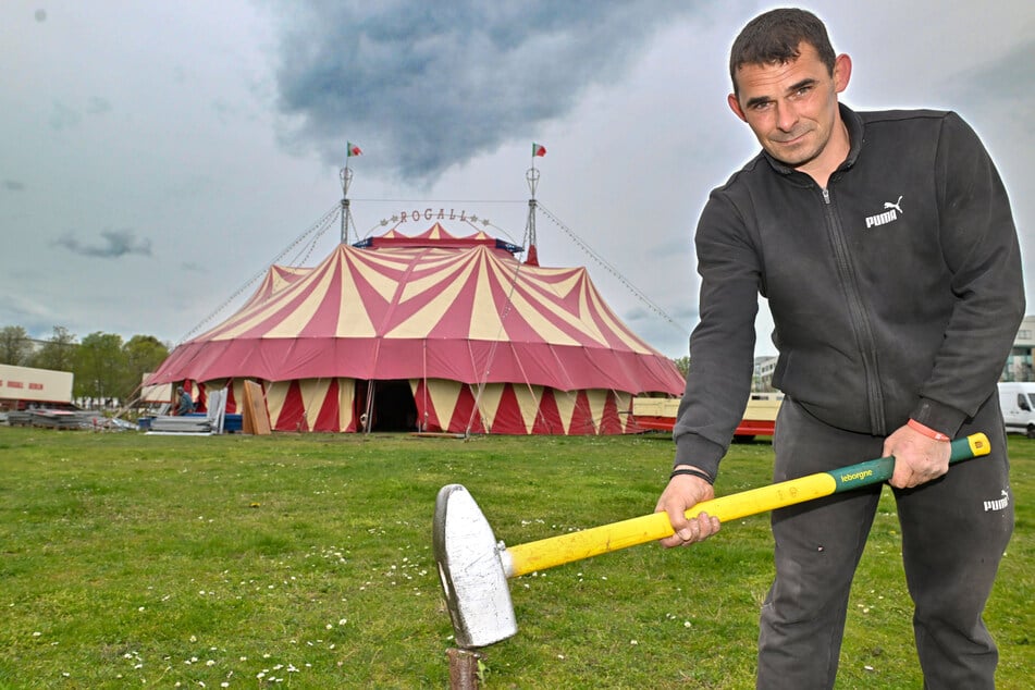 Circus-Direktor Ramon Rogall (43) packt beim Aufbau des Zeltes auf der Cockerwiese kräftig mit an.