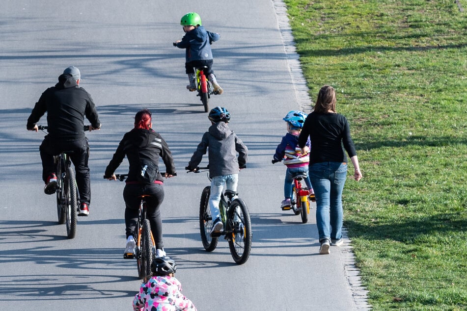 Der Elberadweg wird von Radlern, Spaziergängern, Joggern und Rollstuhlfahrern genutzt. Bei schönem Wetter platzt er aus allen Nähten.