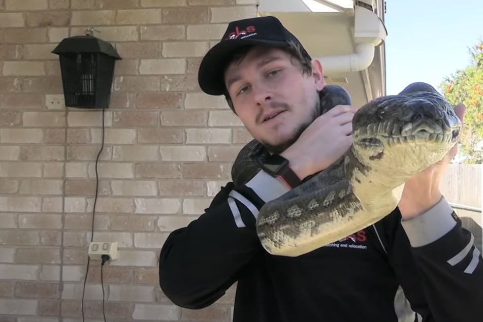 Python wrangler poses with his catch, but the situation quickly turns deadly dangerous!