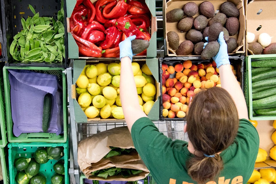 Mitarbeiter vom Bio-Lieferanten "Gemüsekiste" packen Obst und Gemüse in grüne Kisten. (Archivbild)