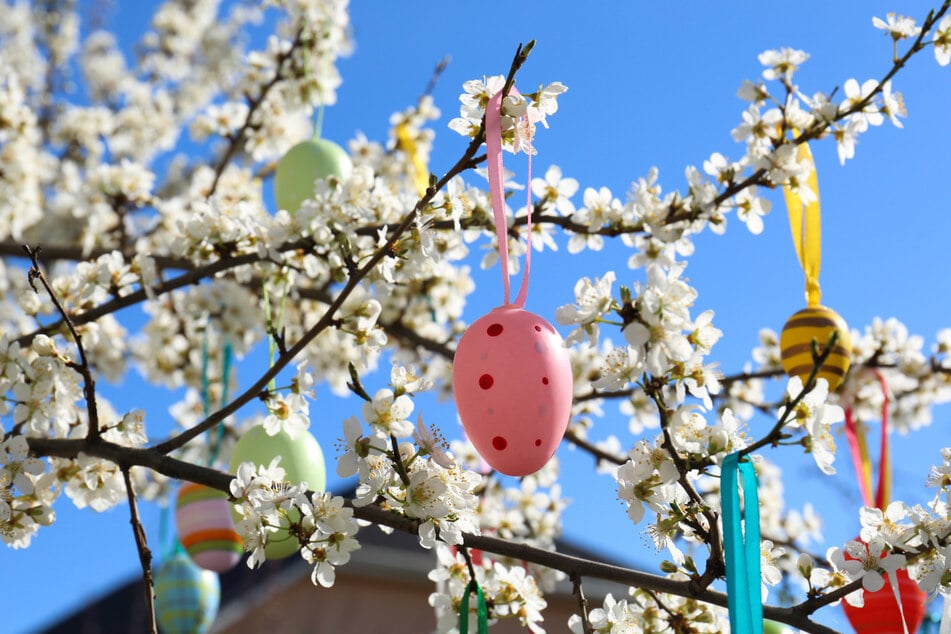 Bald steht Ostern an - in Bautzen könnt Ihr Euch schon jetzt ein wenig einstimmen! (Symbolfoto)