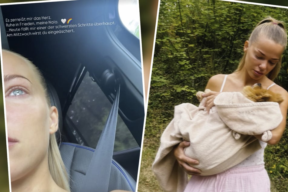 Laura Maria Rypa trauert um Familienhündin Nala