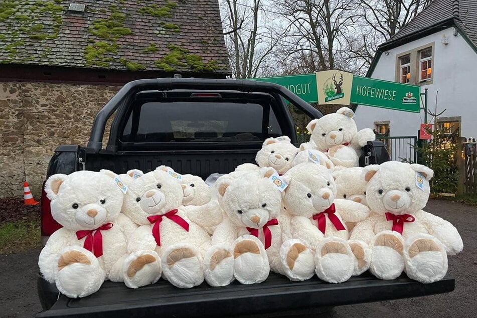 Aus anfänglich acht Teddys wurden schnell 75 Hofewiesen-Bären.