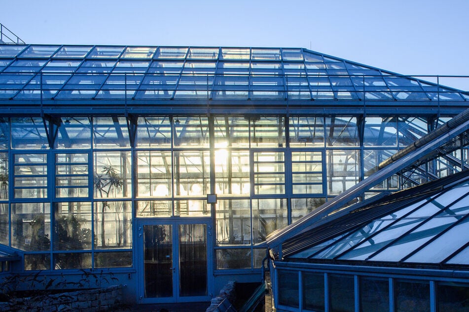 Am Samstag wurde in den Gruson-Gewächshäusern eingebrochen. (Archivfoto)