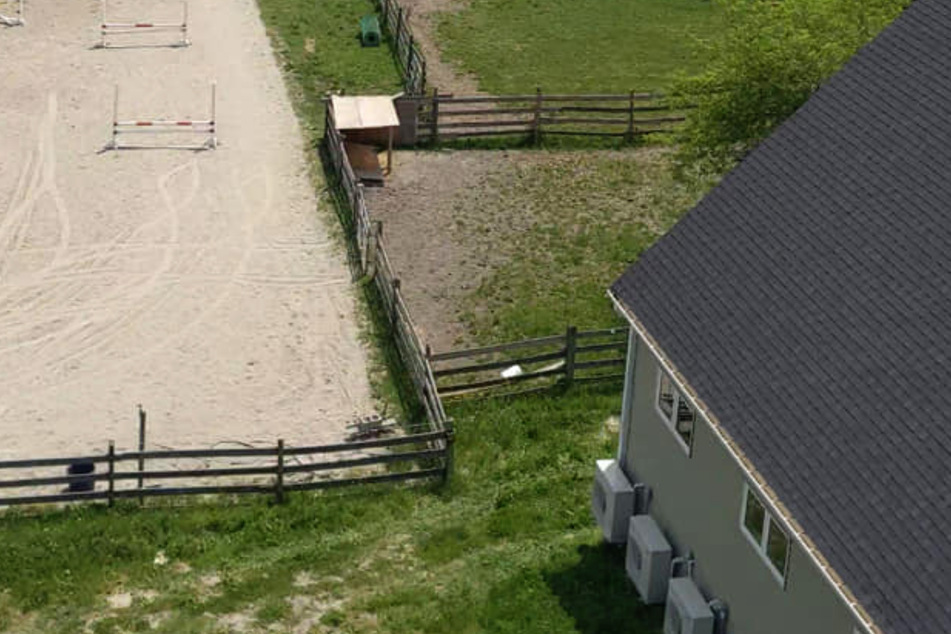 The gruesome crime occurred at the Turner Hill Equestrian Center stables.