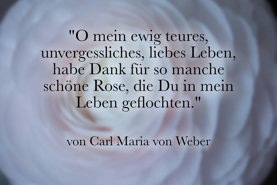 Ein Zitat, welches gut zu Rosen und der Liebe passt, stammt von Carl Maria von Weber.