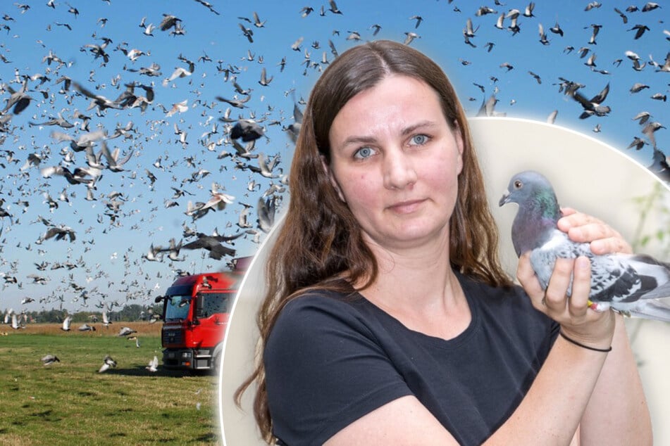 Dresden: Dresden aufgepasst: Diese Demo sorgt am Samstag für Aufsehen