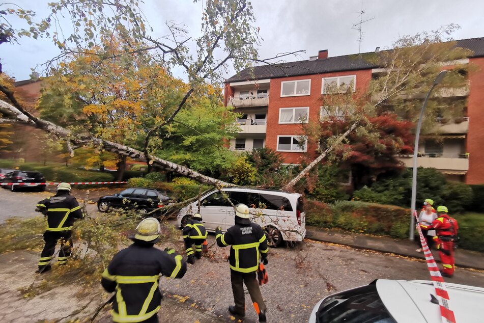 Feuerwehrmänner stehen vor zwei umgestürzten Bäumen im Stadtteil Ohlsdorf.