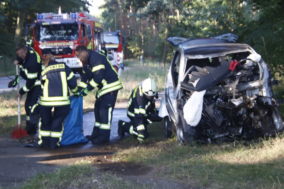 Unfall in Brandenburg: Frau kommt bei Baum-Crash ums Leben