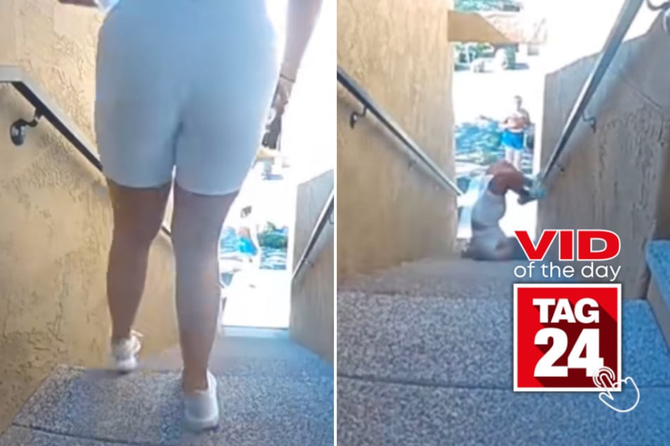 viral videos: Viral Video of the Day for April 3, 2026: Doorbell camera catches woman's insane staircase wipeout
