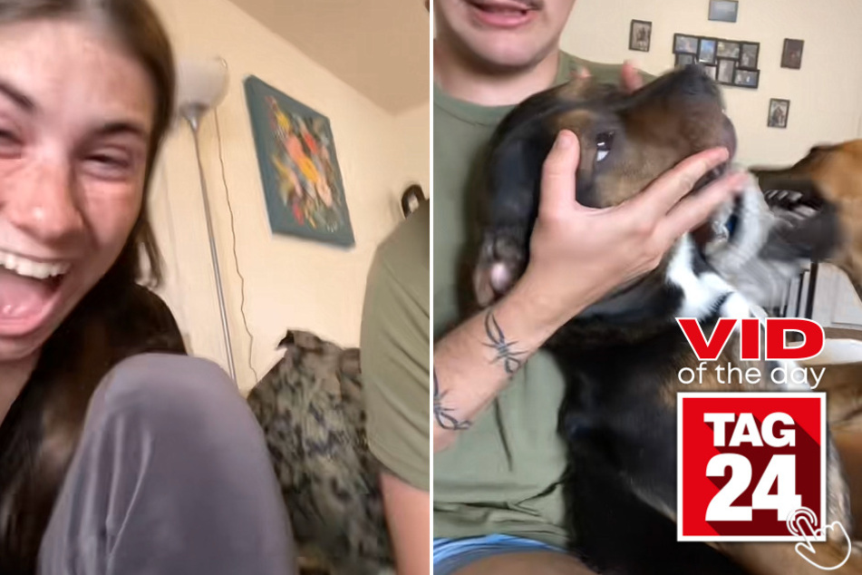 Today's Viral Video of the Day features a dog performing a surprise acting trick in front of his human parents!