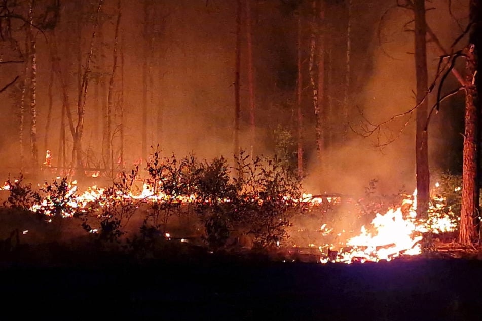 Im vergangenen Juni war schon einmal ein großer Waldbrand in einem munitionsbelasteten Waldstück nahe Jüterbog ausgebrochen. (Archivfoto)