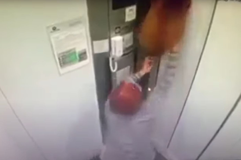 Plötzlich ging es für diesen armen Hund unfreiwillig aufwärts.