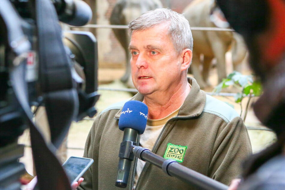 Gab Mitte Juli bekannt, dass er in den Ruhestand gehen wird: Dr. Andreas Bernhard, Chef-Tierarzt im Zoo Leipzig. (Archivbild)