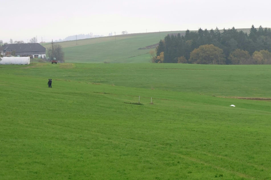 Auf dieser Wiese fand man die Leiche von Bürgermeister Franz Hofer (†64, ÖVP).