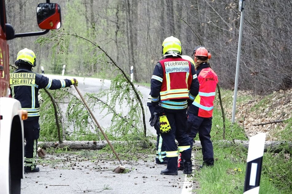 Sturm Eugen richtet auch in Chemnitz Schäden an: Ein Baum stürzte auf den Weißen Weg.