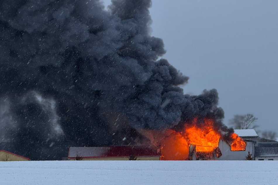 Inferno im Gewerbegebiet: Explodierende Gasflaschen verwandeln Ventile in Geschosse