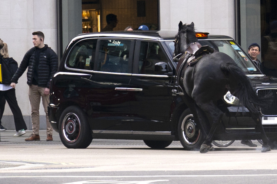 Verletzte an mehreren Orten, Armee im Einsatz: Pferde versetzen Londoner Innenstadt in Angst