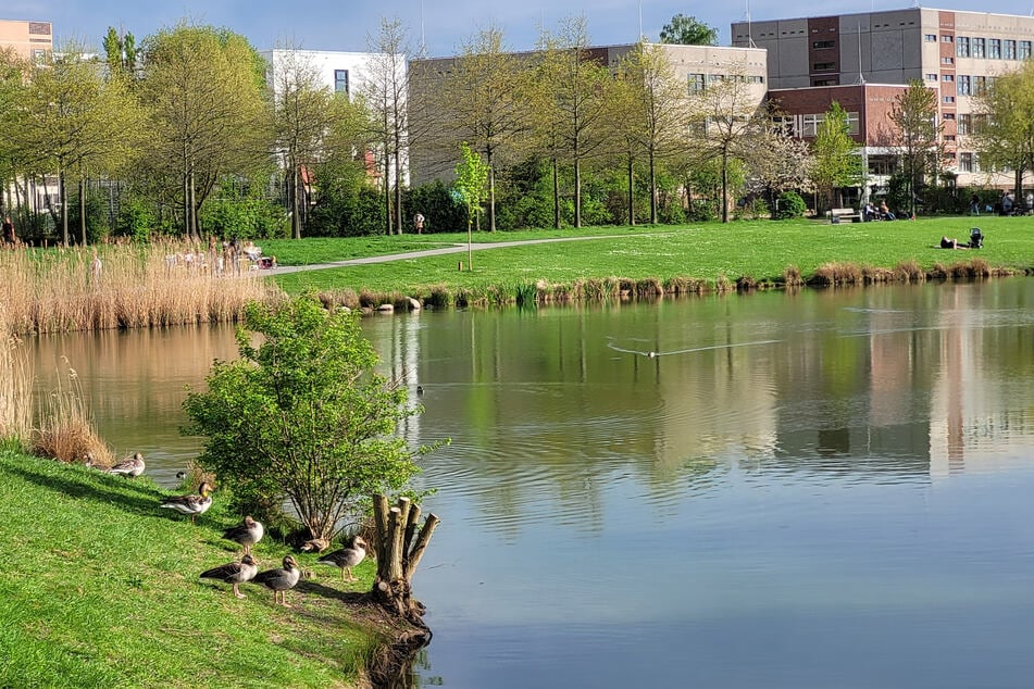 Der Aussichtspunkt Bogensee liegt im Naherholungsgebiet Grüner Bogen in Leipzig-Paunsdorf und bietet einen idyllischen Blick auf den Bogensee.