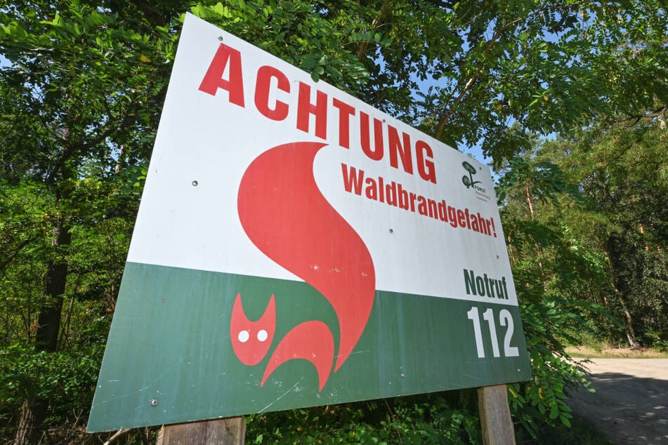 In großen Teilen Brandenburgs besteht eine hohe Waldbrandgefahr. (Archivfoto)