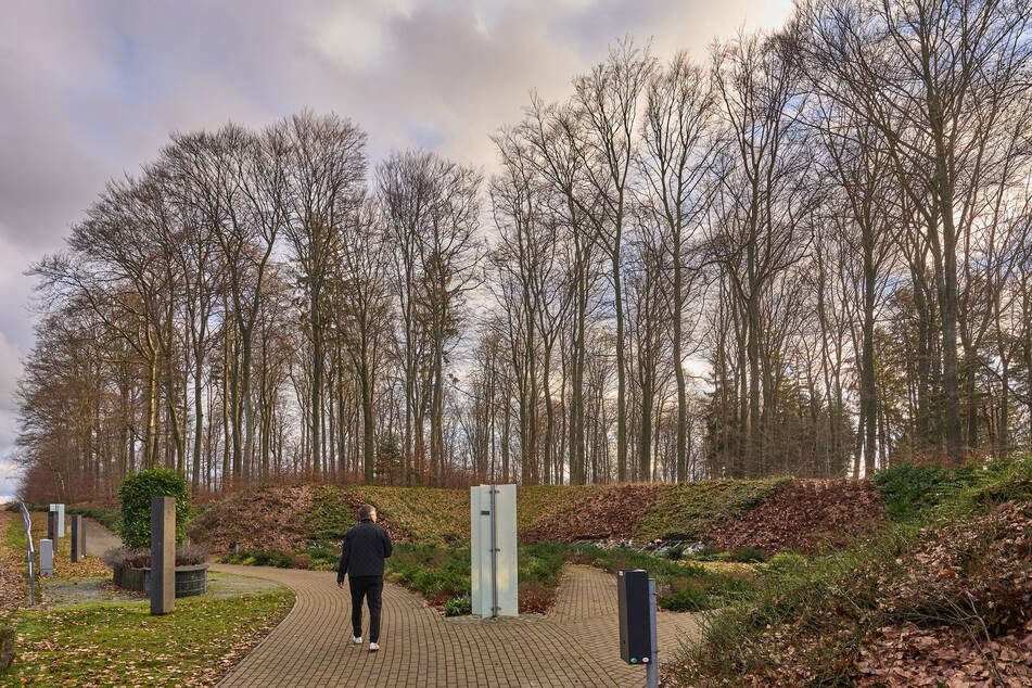 Das Unternehmen Deutsche Friedhofsgesellschaft bietet seit Anfang 2023 keine Beisetzungen mehr unter Bäumen, sondern nur noch auf einer Waldlichtung an.