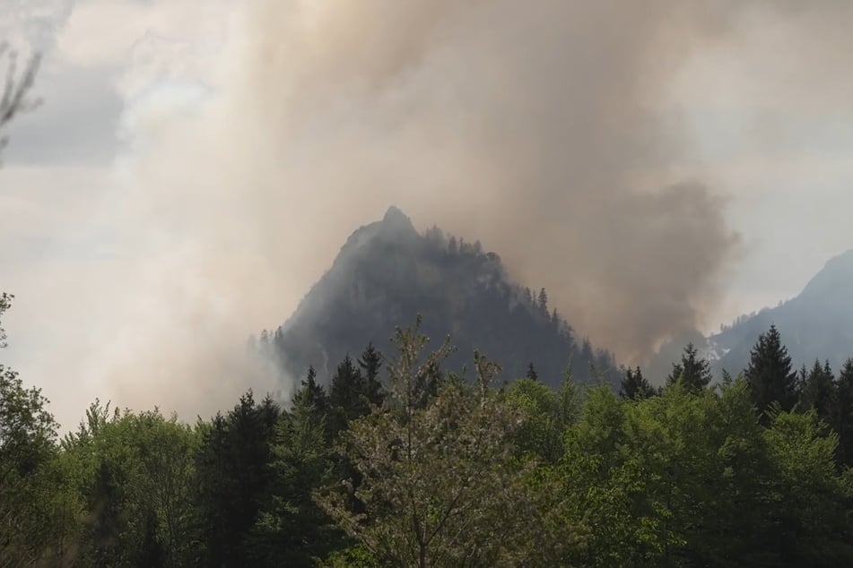 Der Waldbrand scheint unter Kontrolle gebracht worden sein.