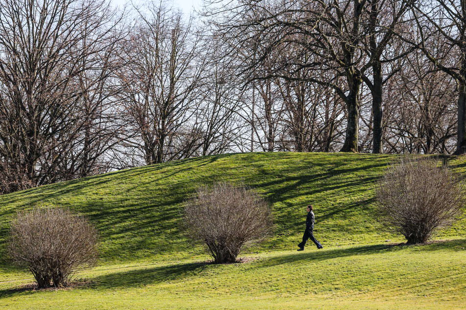 Zum Schutz der Tiere und der Natur in der Rheinaue soll "Rhein in Flammen" ab 2028 in der Bonner Innenstadt stattfinden. (Archivbild)
