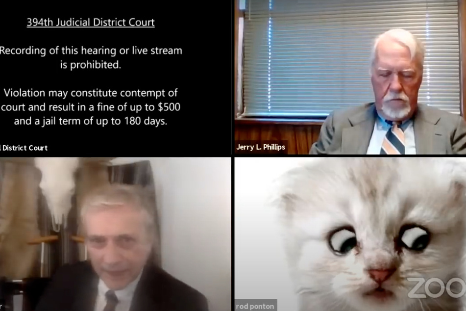 Uh-oh! Attorney Ron Ponton appeared as a fluffy white feline during an important Zoom hearing on Tuesday.